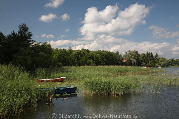 Sensburg Naturidylle am Czos Wasser Seeufer Landschaft Masuren Reisebild