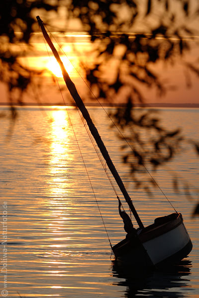Masuren Sonnenuntergang Romantik Boot Segelmast in Wasser Spirdingsee orange Farben