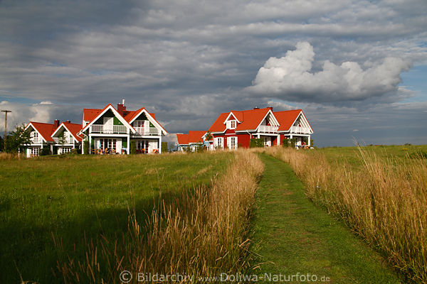 Trygort Ferien-Holzhuser am MamrySee Masuren Urlaub Wohnpark in Natur nah Angerburg