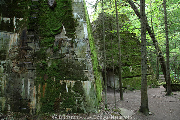 Wolfsschanze Foto Bunker in Wald bei Grlitz ehem. Hitler-Quartier nah Rastenburg Reisebild
