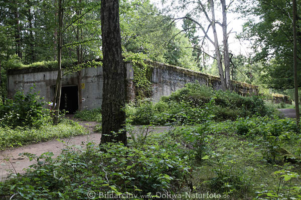 Wolfsschanze Bunker des Wehrmachtsfhrungsstab in ehem. Hitler-Quartier Foto bei Grlitz