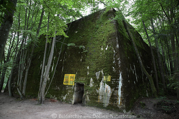 Bormanns alter Bunker Foto von Wolfsschanze in Grlitz Aussenmauer mit Eingangstr