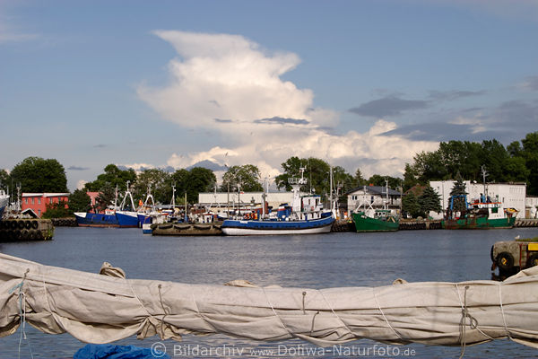 Fischereihafen Rgenwaldermnde Schiffe Takelage in Wipper