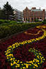 705616_ Kolberg Blumenrabatten, Dekorationen aus Blumen in der Innenstadt Foto