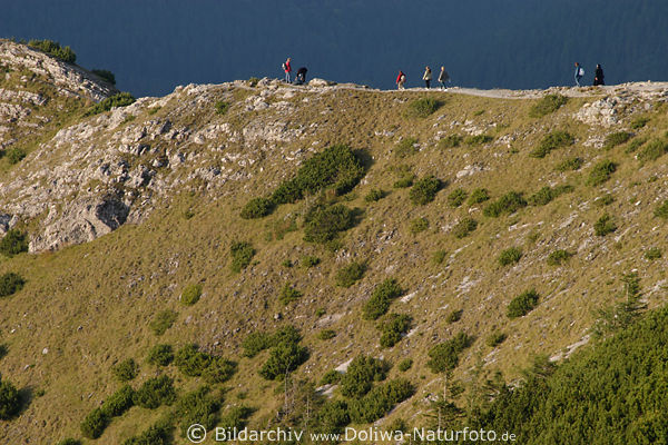 Tatra Berggrat Skupniowy Uplaz