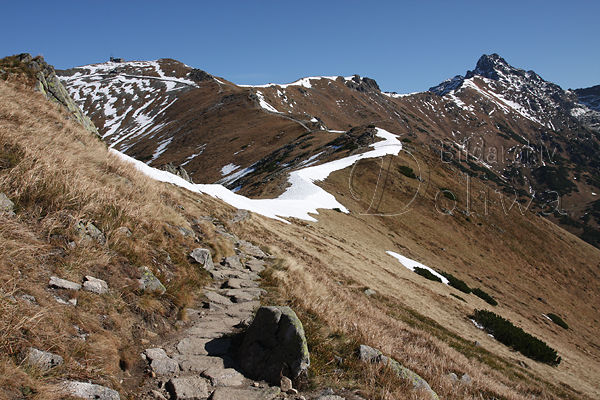 Hohe Tatra Berge Gipfel Swinica+Kasprowy Wierch Landschaft Naturfoto Wanderweg