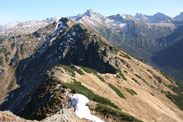 Berggrat Hohe Tatra Gipfel Bergkamm felsige Berglandschaft