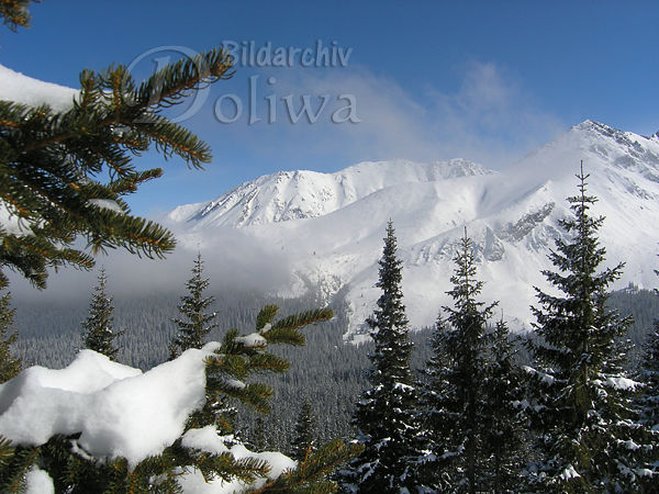 Winterromantik Naturbilder Hohe Tatra weisse Berge, Wald Bäume in Schnee Landschaftsfotos