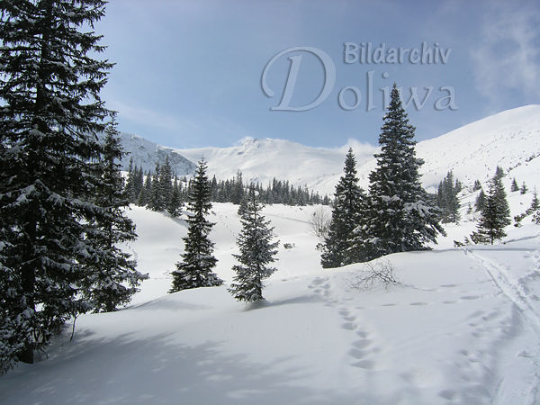 Hohe Tatra Natur Winterromantik Foto weisse Berglandschaft in Schnee Fichten B�ume