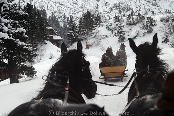 Pferdeschlitten in Fahrt Pferde Schlittenfahrt Ausflug zum Morskie Oko Bergsee im Nationalpark