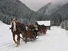 Bd0987_Horse & sleighs in winter, sledges cavalcade, Pferdeschlitten in Fahrt auf Schnee, kulig na sankach