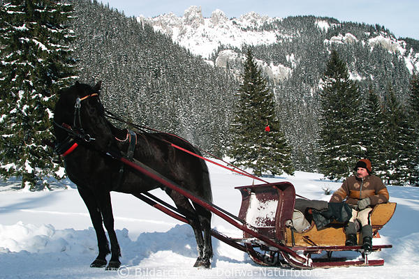 Kutscher Pferd Schlittengespann Winterbild in Schneelandschaft Chocholowska-Tal