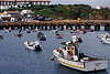 Sagres Hafen Foto Algarve Urlaub, Fischerboote wildparken in Meeresbucht