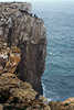Hochklippen Angler an Felsen-Steilwand über Meerwasser Ponta de Sagres