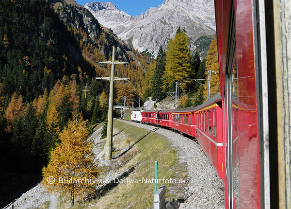 Bergzug Bahnreise Foto in Berner Oberland Naturidylle Herbst bunte Farben rote Wagons
