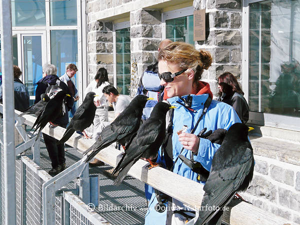 Jungfraujoch Wetterstation Aussichtsplattform Touristen Frau bei Krhen