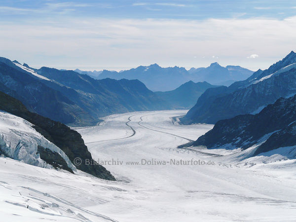 Aletschgletscher in Berner Alpen