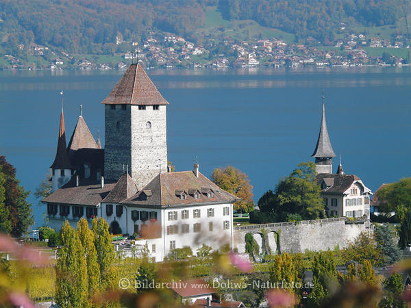 Schloss Oberhofen am Thuner See Foto aus Berner Oberland
