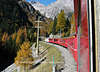 EA-0084_Bergzug Bahnreise Foto in Berner Oberland Naturidylle Herbst bunte Farben rote Wagons