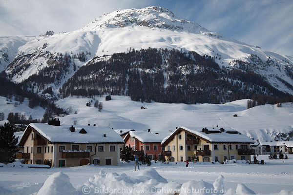 Alpenkurort Celerina Winterfoto in Schnee Schweiz Berge Hochplateau Dorf Panoramabild