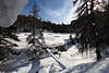901626_ Romantik Winter am Bergbach in Pontresina erleben, Wintermärchen Puntraschigna Naturfoto in Schnee