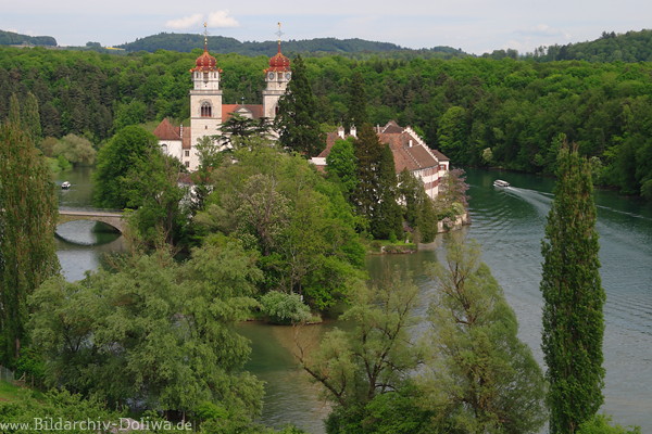 Wasserschleife um Klosterinsel Rheinau grne Uferbume Flusslandschaft Naturfoto