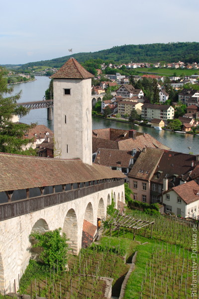 Schaffhausen Rhein Burgflanke-Stieg Turm Altstadt Wasserufer