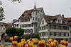 600714_ St. Gallen Stadtfoto: Tulpen Rabatten vor Fachwerkhäusern in Sankt Gallen Kantonhauptstadt