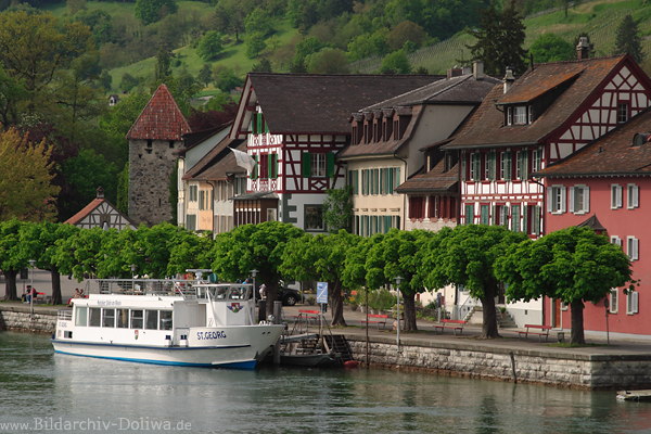 Stein am Rhein Wasserufer historische Altstadt Schiff St.Georg Huser am Rhein-Nordufer