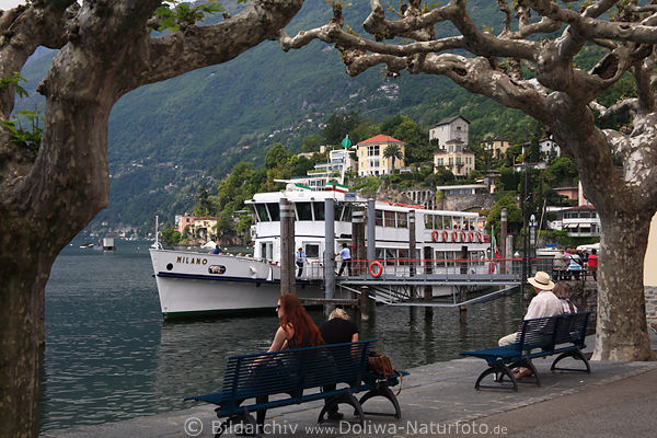 Ascona Seepromenade Foto Lago Maggiore Schiff Milano Bild Paare Bnke unter Bumen