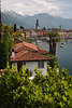 906120_Ascona Foto Palmen rote Dächer in Bucht Lago Maggiore mit Bergeblick Reisebild