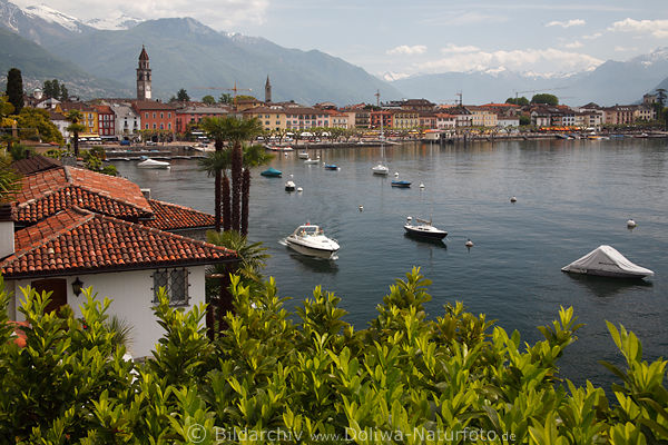 Ascona Bucht Lago Maggiore Seenlandschaft Foto Tessin Schweiz Ticino