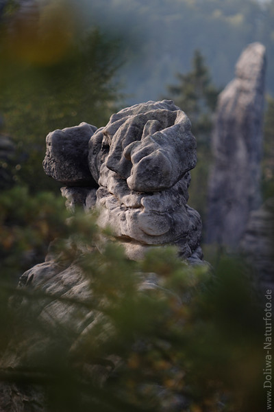 Felsgebilde bizarres Felsgesicht Foto Prachovske skly Felsformation Bild