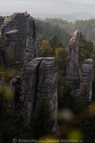 Prachovske skly bizarre Felsenwelt Foto Felsentrme in Wald Naturbild Bhmisches Paradies
