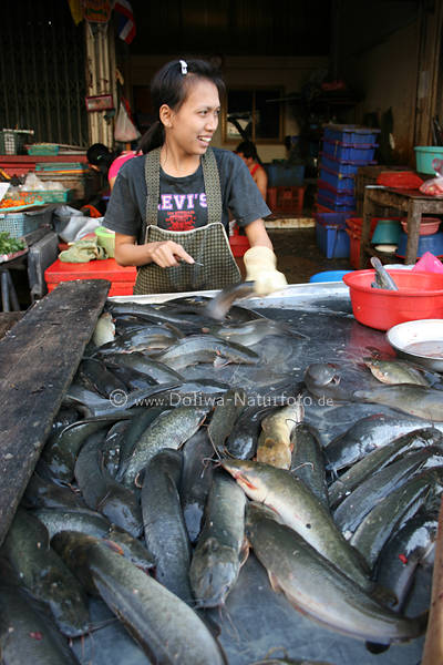 Thai Fischmarkt Verkuferin am Marktstand voller Fische in Foto