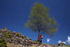 Frau unterm Baum am Blauhimmel Foto Bergwandern in Natur aktive Freizeit Momente