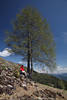 1201847_Mdchen Bergwanderer Frau Foto unter grner Lrche mit Bergsicht sitzen Naturportrt vor Bergland Himmel