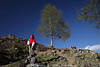 Frau Bergwanderin in Rotjacke stehen vor Baum schauend zum Himmel