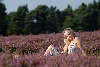 Mdel sonnend Naturbild relaxes Blondine in Heideblten liegend