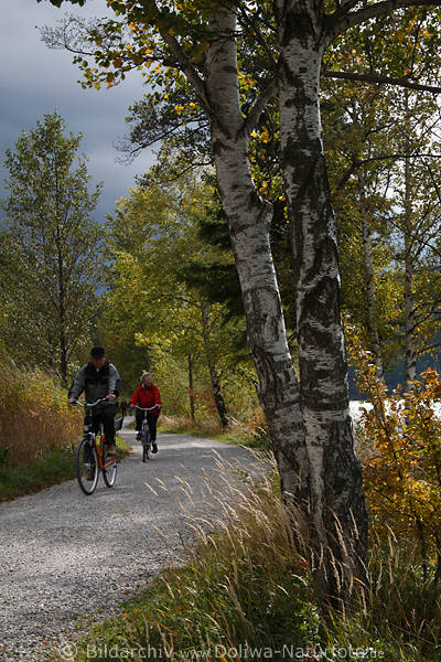 Seeuferstrasse Radler auf Naturpfad radeln