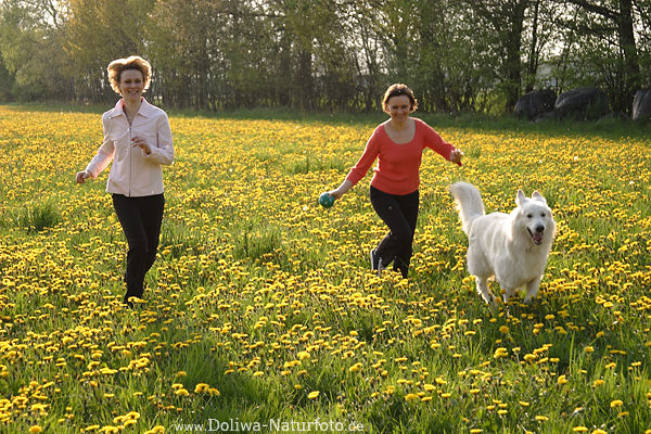 Girls-Blumenlauf mit Hund in Blütenfeld gelber Frühlingswiese Frauenpaar Spass in Natur