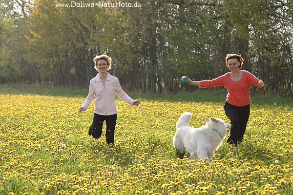 Frauen laufen in Bltenfeld mit Hund durch Gelbblumen