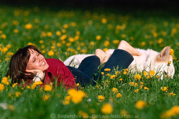 Hund Frauchen liegen in Blumenfeld Grngras Frhlingsblten