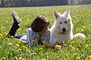 Frau in Blütenfeld liegen mit Hund auf Frühlingswiese