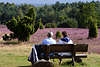 Paar auf Sitzbank vor Heideblüte Wacholder Naturfoto Mann-Frau