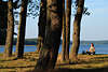 Mädchen Yoga am See sitzen unter Bäumen Meditieren mit Wasserblick