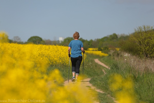 Rapspfad Wanderin Foto Gelbblte Spaziergang Frau mit Stcken Feldweg Naturbild