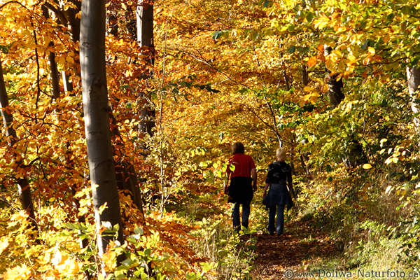 Herbst-Waldweg Spaziergang Foto Paar gehen auf Waldpfad voll gelber Bltter