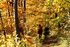 Herbst-Waldweg Spaziergang Foto Paar gehen auf Waldpfad voll gelber Blätter