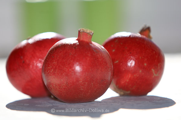Granat-Dreier Stillife Fotodesign runde Rotfrchte Punische pfel Obst Bild